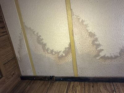 Professional water damage restoration services in Wilsonville